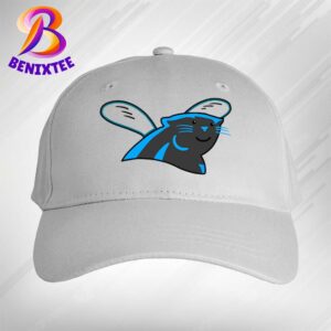 NFL x NBA Logos Carolina Panthers x Charlotte Hornets Combined Charlotte Sport Teams Snapback Hat Classic Cap